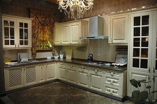 德v整體櫥柜 進口吸塑系列與一站式衛浴及日用雜貨批發